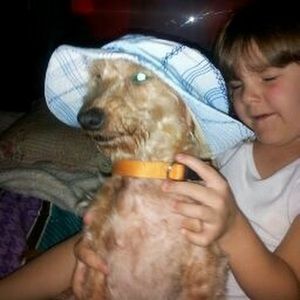 Meet your Posher, Donna